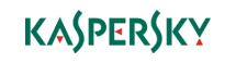 Kaspersky Partner